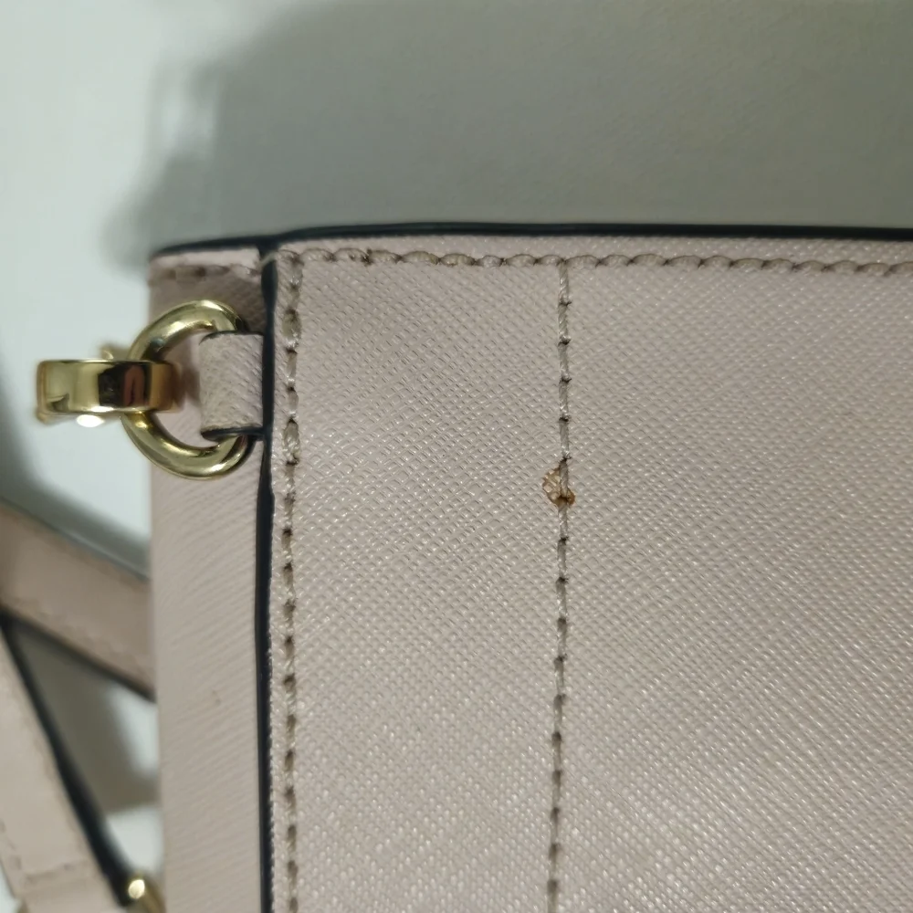 Michael Kors Blush Crossbody Bag with Gold Chain